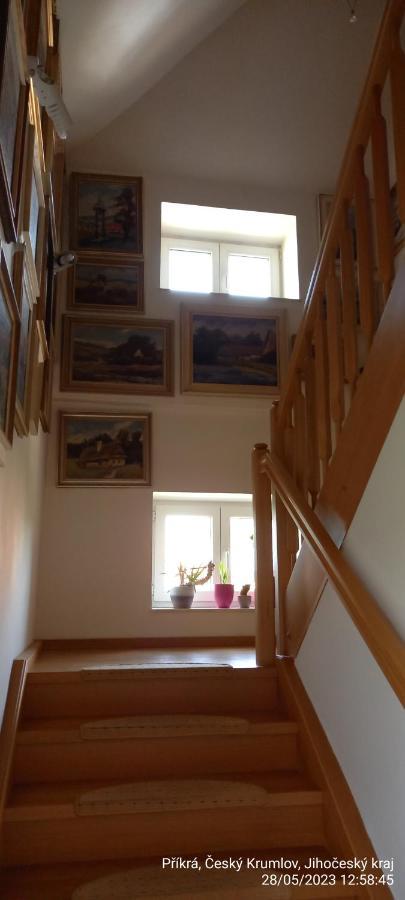 Vila Hesha Apartment Cesky Krumlov Bagian luar foto